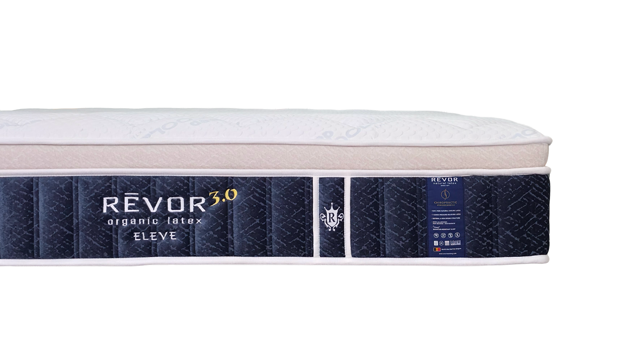 Eleve - Image 3